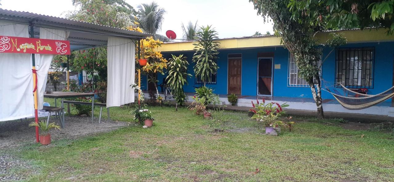 Rooms Palmeras Cahuita Luaran gambar