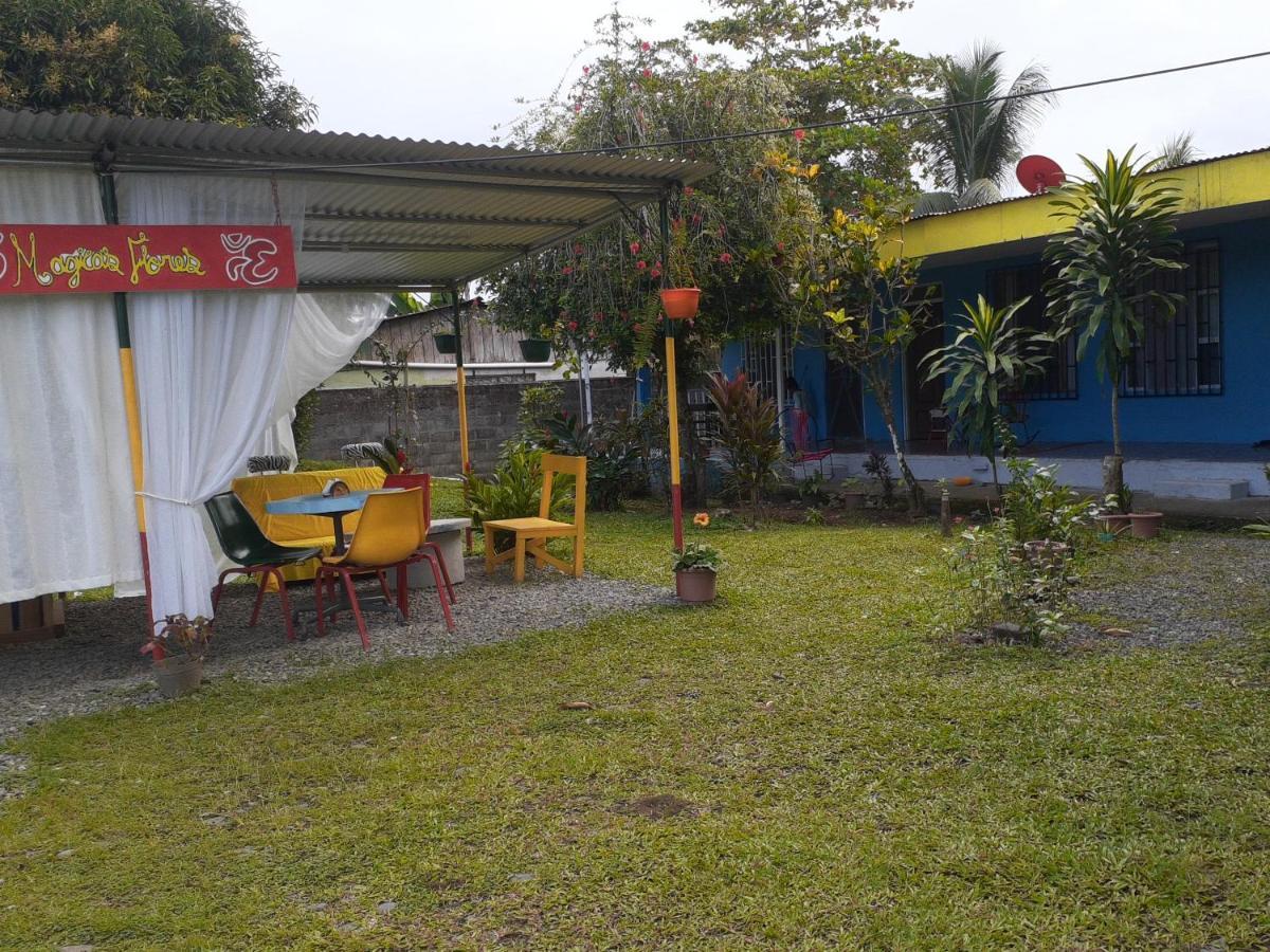 Rooms Palmeras Cahuita Luaran gambar