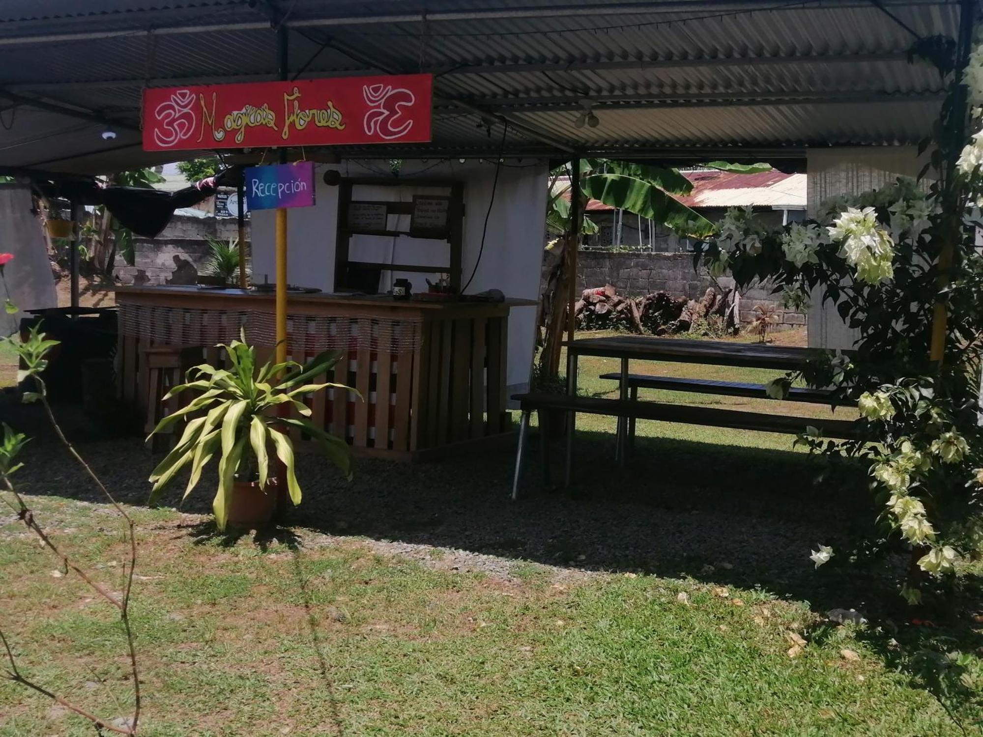 Rooms Palmeras Cahuita Luaran gambar